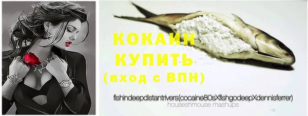 прущие грибы Нея