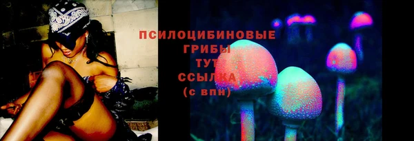 сатива Наволоки