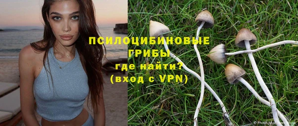 твердый Нефтегорск