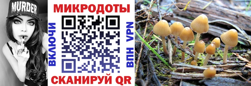 Галлюциногенные грибы MAGIC MUSHROOMS  Камешково 